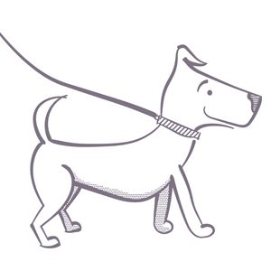 Home Animal Communication